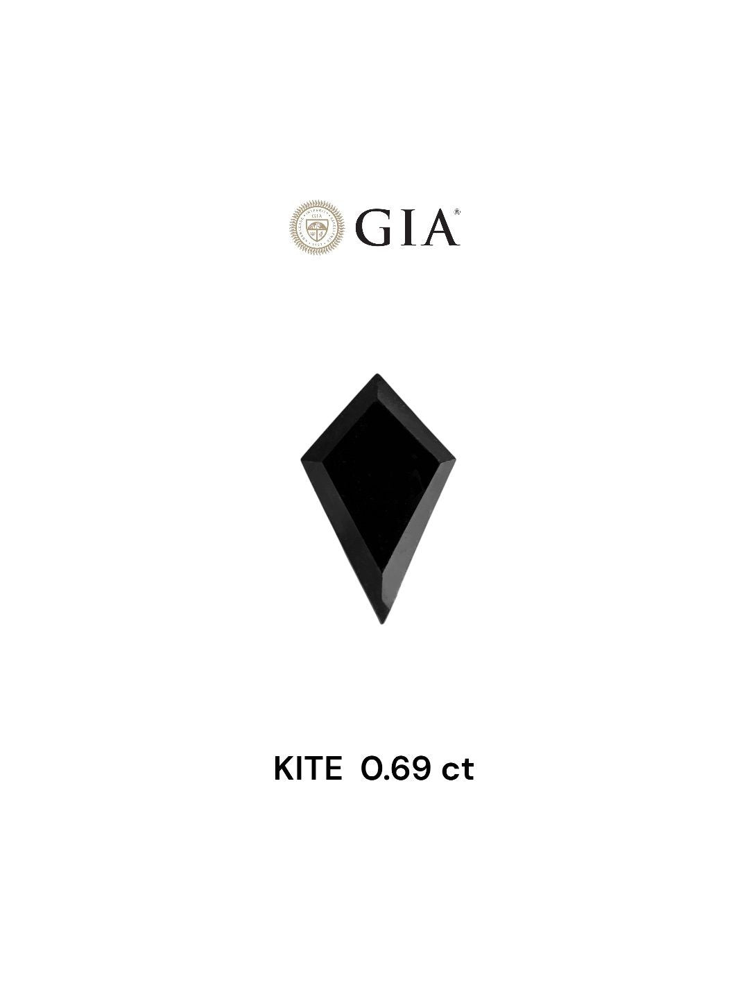 Kite Fancy Black Natural Diamond 0.69ct VVS2 loose diamond