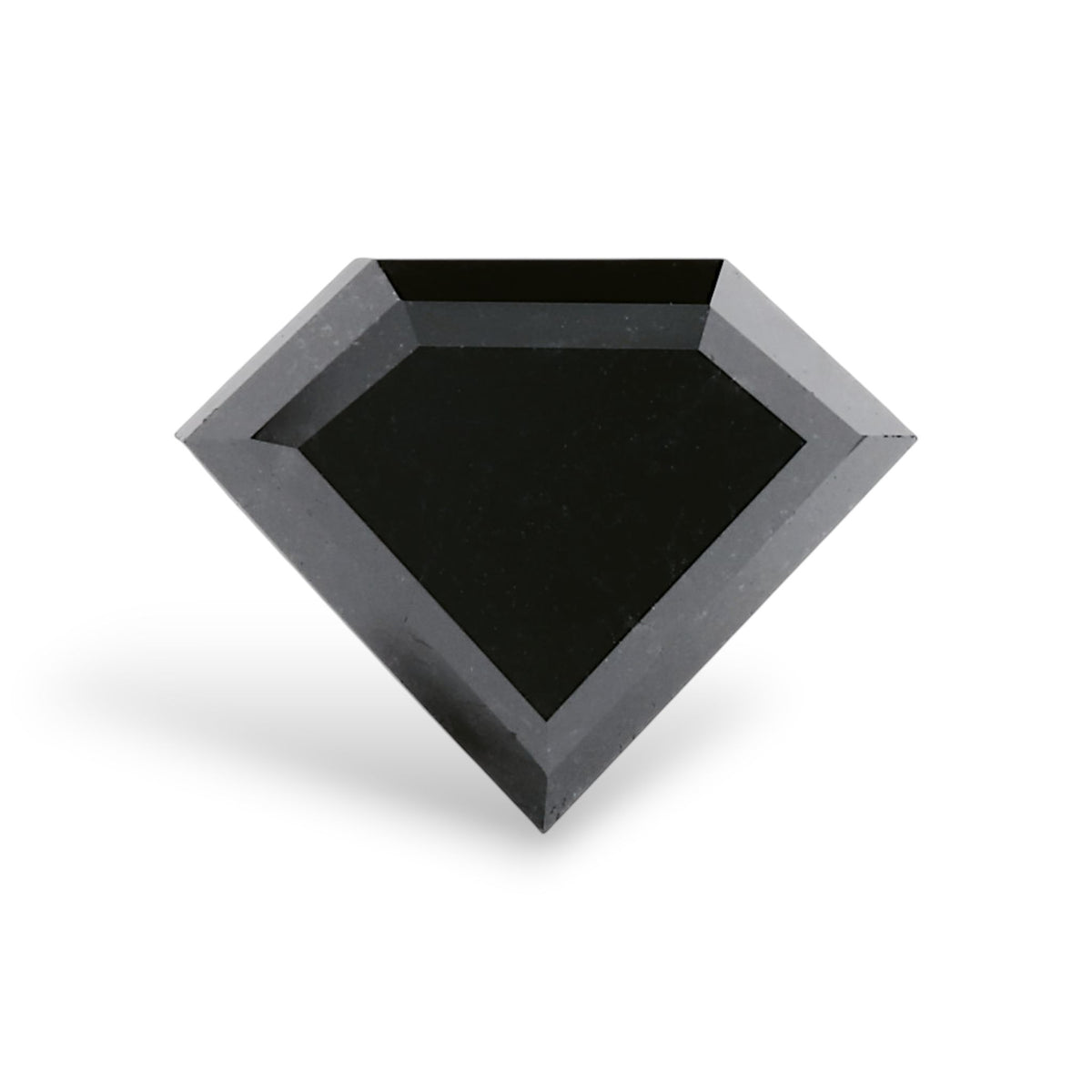 Shield Fancy Black Natural Diamond 2.42ct VVS2 loose diamond