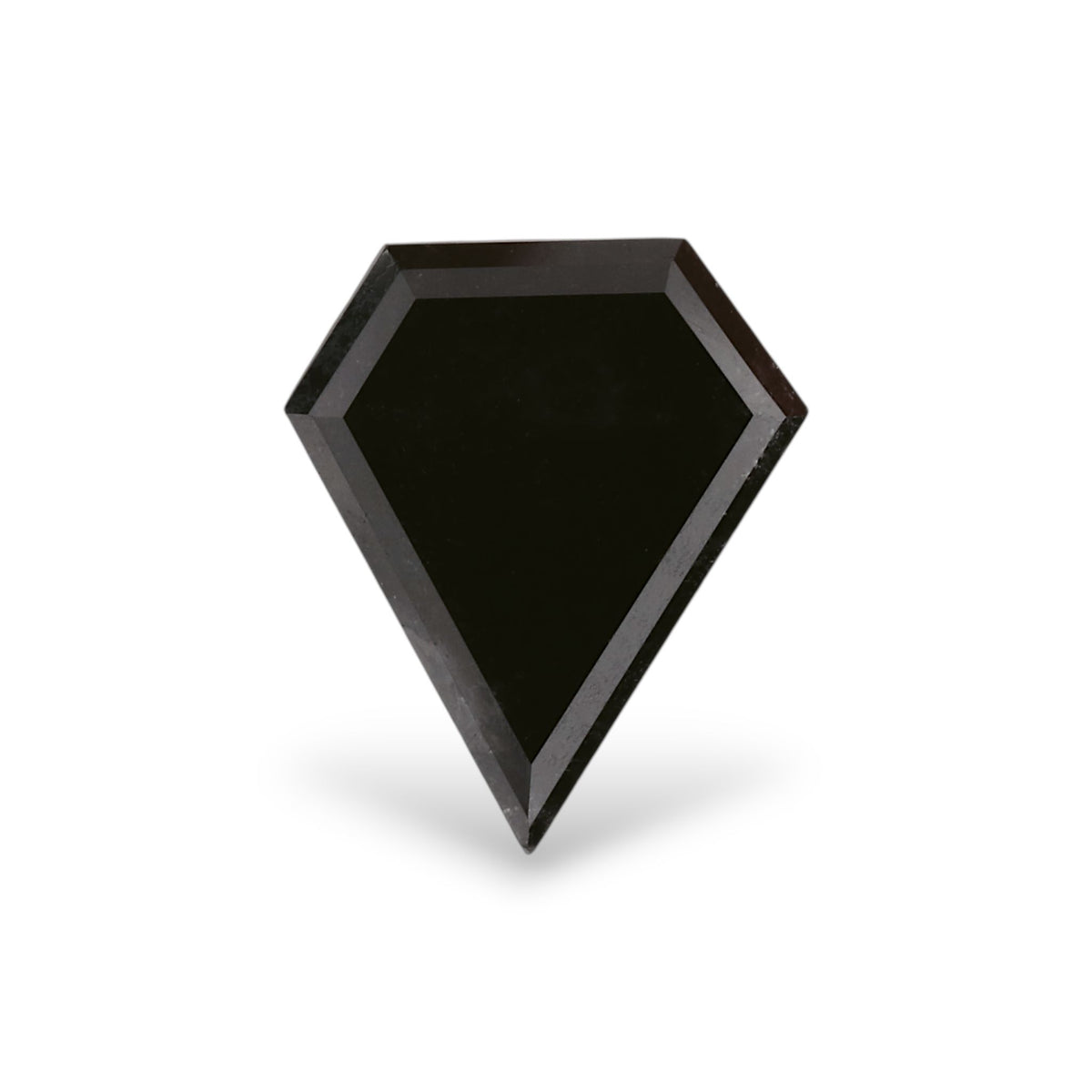 Shield Fancy Black Natural Diamond 1.27ct VVS2 loose diamond