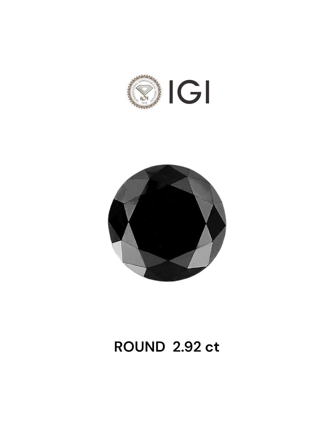 Round Black Natural Diamond 2.92ct loose diamond