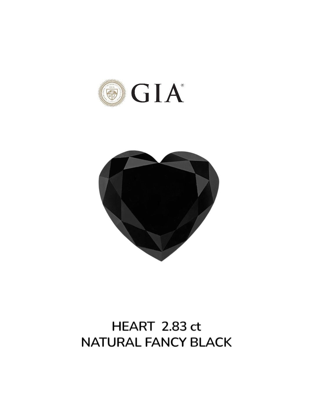 Heart Fancy Black Natural Diamond 2.83ct VVS2 loose diamond