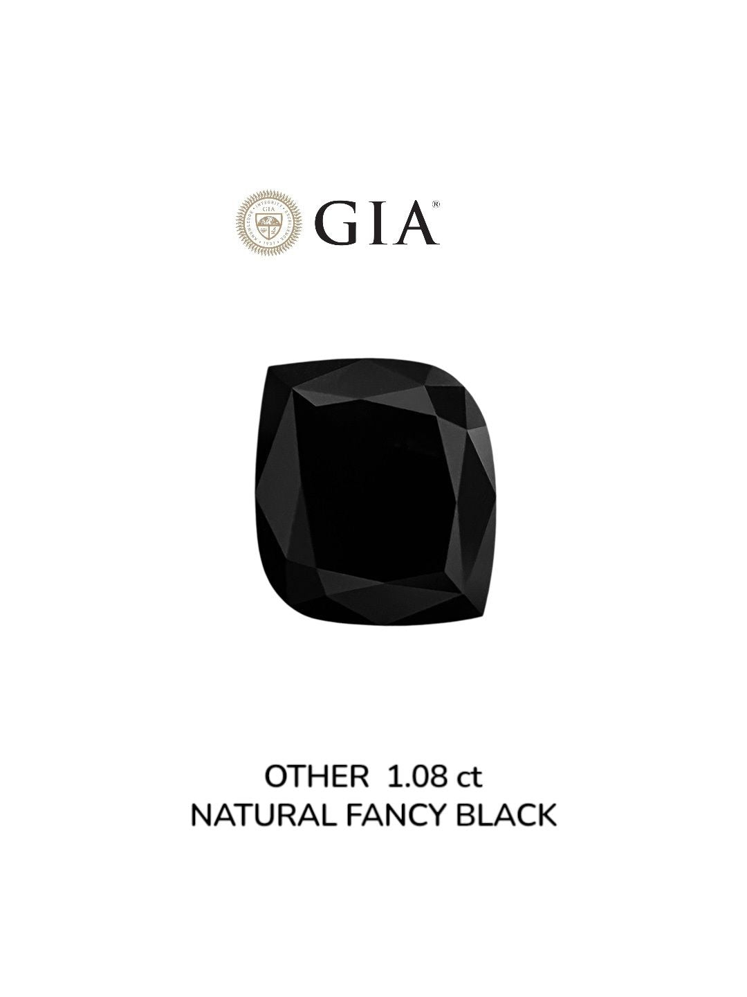 Other Fancy Black Natural Diamond 1.08ct VVS2 loose diamond