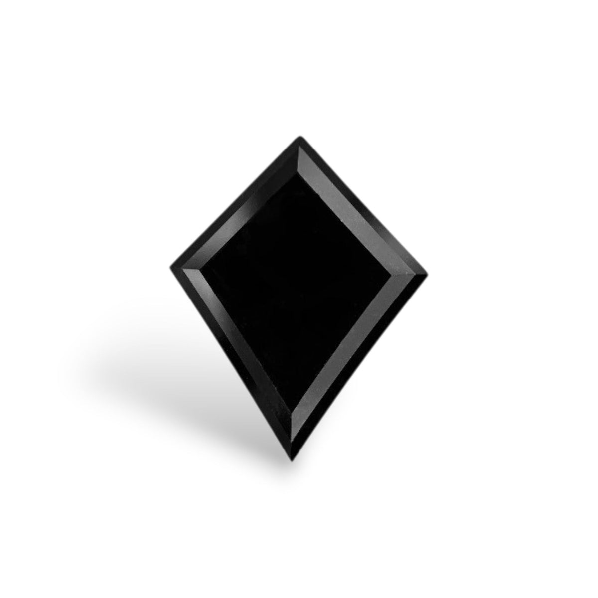 Kite Fancy Black Natural Diamond 4.04ct VVS2 loose diamond
