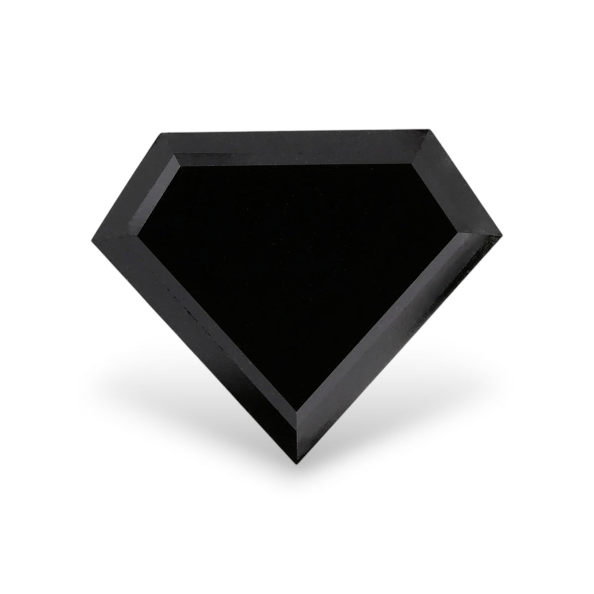 Shield Fancy Black Natural Diamond 2.72ct VVS2 loose diamond