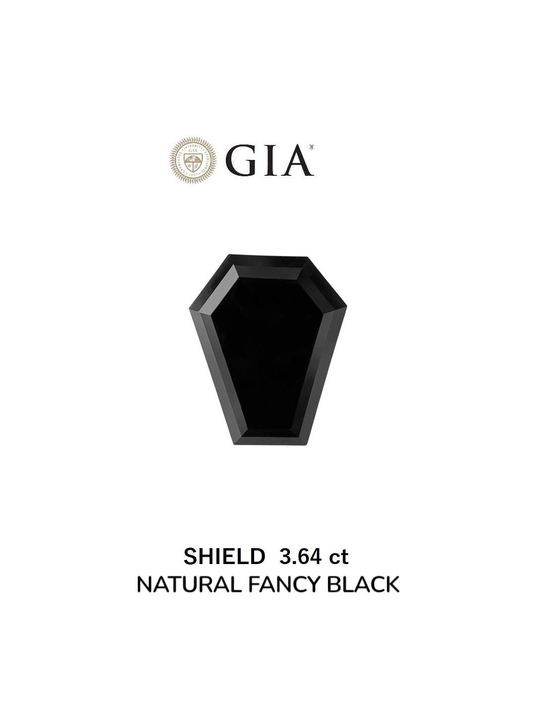 Shield Fancy Black Natural Diamond 3.64ct VVS2 loose diamond