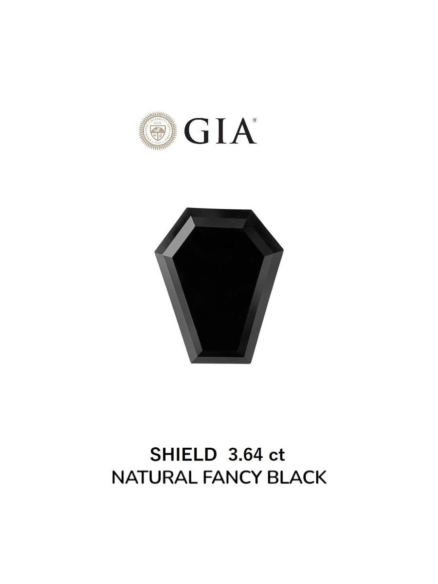 Shield Fancy Black Natural Diamond 3.64ct VVS2 loose diamond