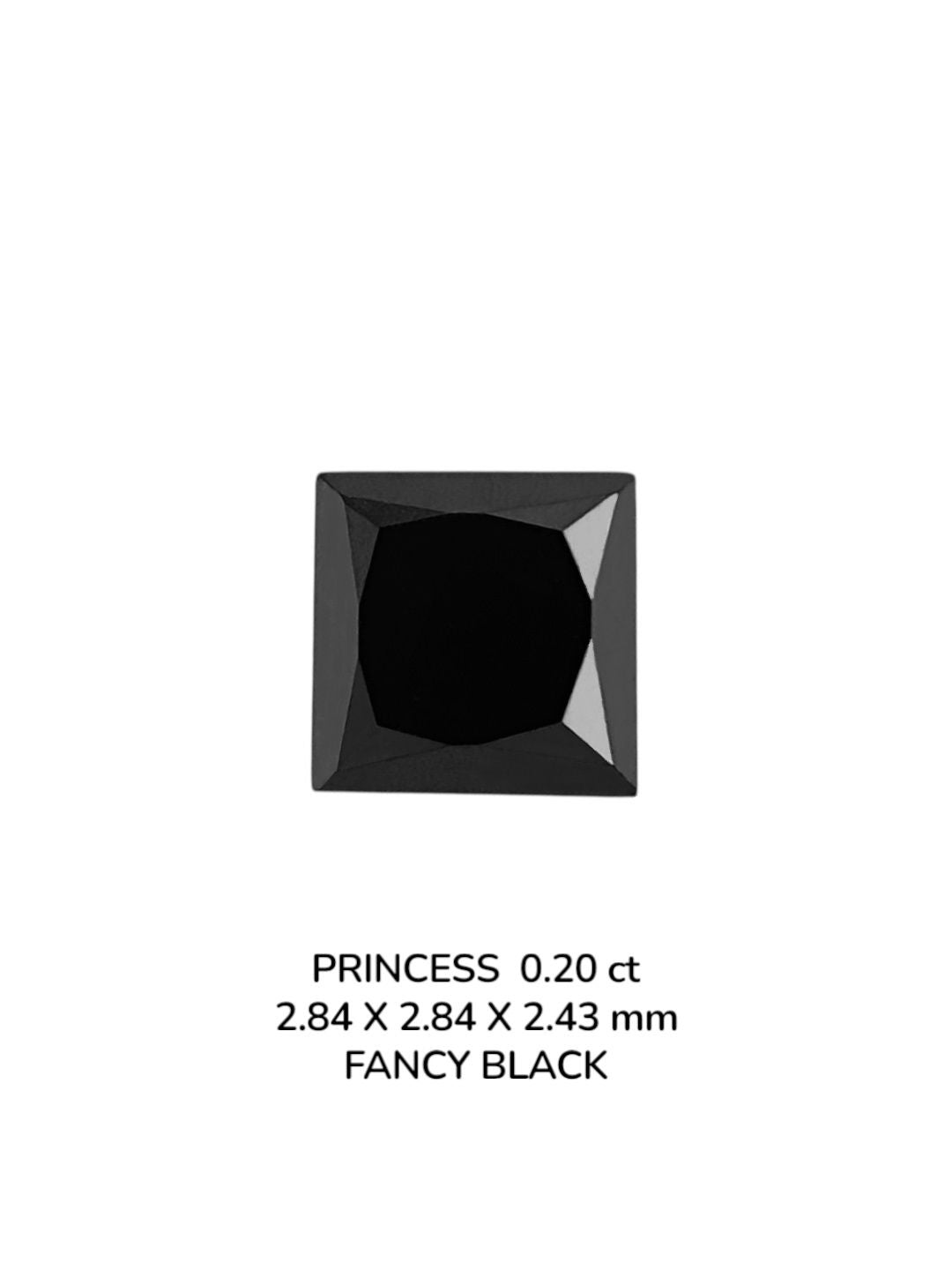 Princess Fancy Black Natural Diamond 0.2ct VVS2 loose diamond