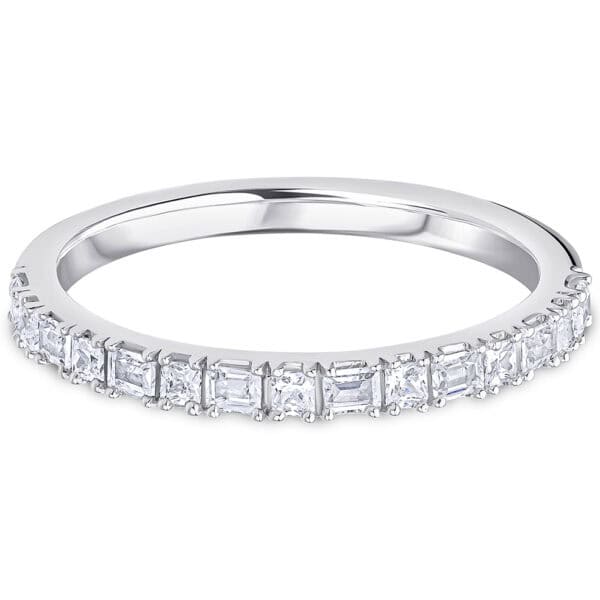 Landscape Claw, Princess Cut, Baguette Cut Diamond Eternity Ring with 100% Diamond Coverage, 2 mm Width